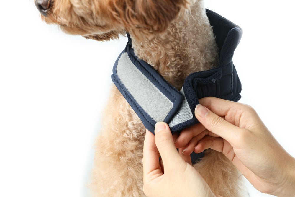 Reversible Dog Vest Jacket (Only Vest)