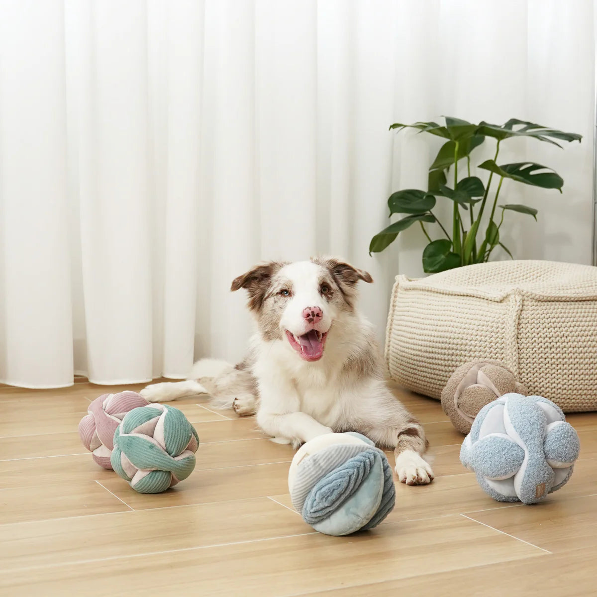 Monti *(Crinkly + Squeaky + Snuffle Ball)
