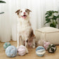 Monti (Crinkly + Squeaky + Snuffle Ball)