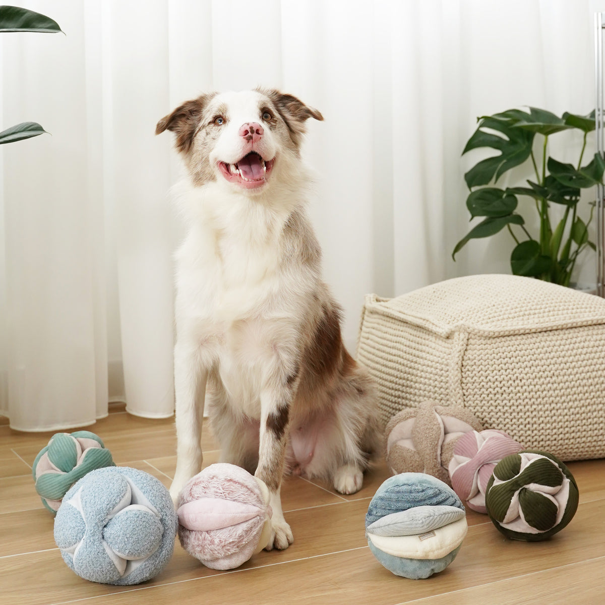 Monti (Crinkly + Squeaky + Snuffle Ball)