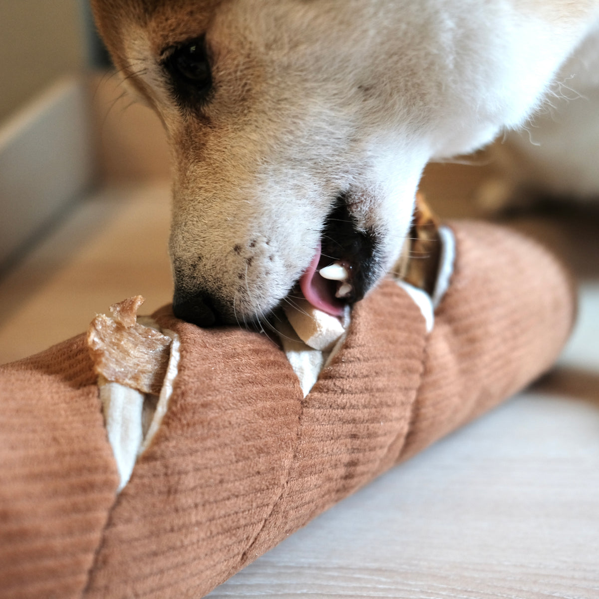 Baguette (Enrichment Pockets + Squeaky + Snuffle)