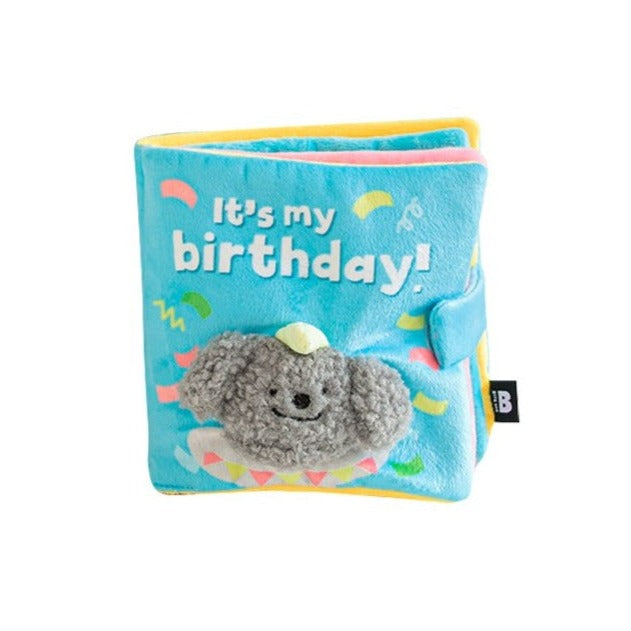 My Birthday Playbook