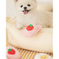 Biteme Slipper Tug Toys