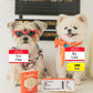 Pet passport & ticket nosework toy set
