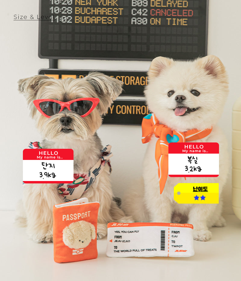 Pet passport & ticket nosework toy set