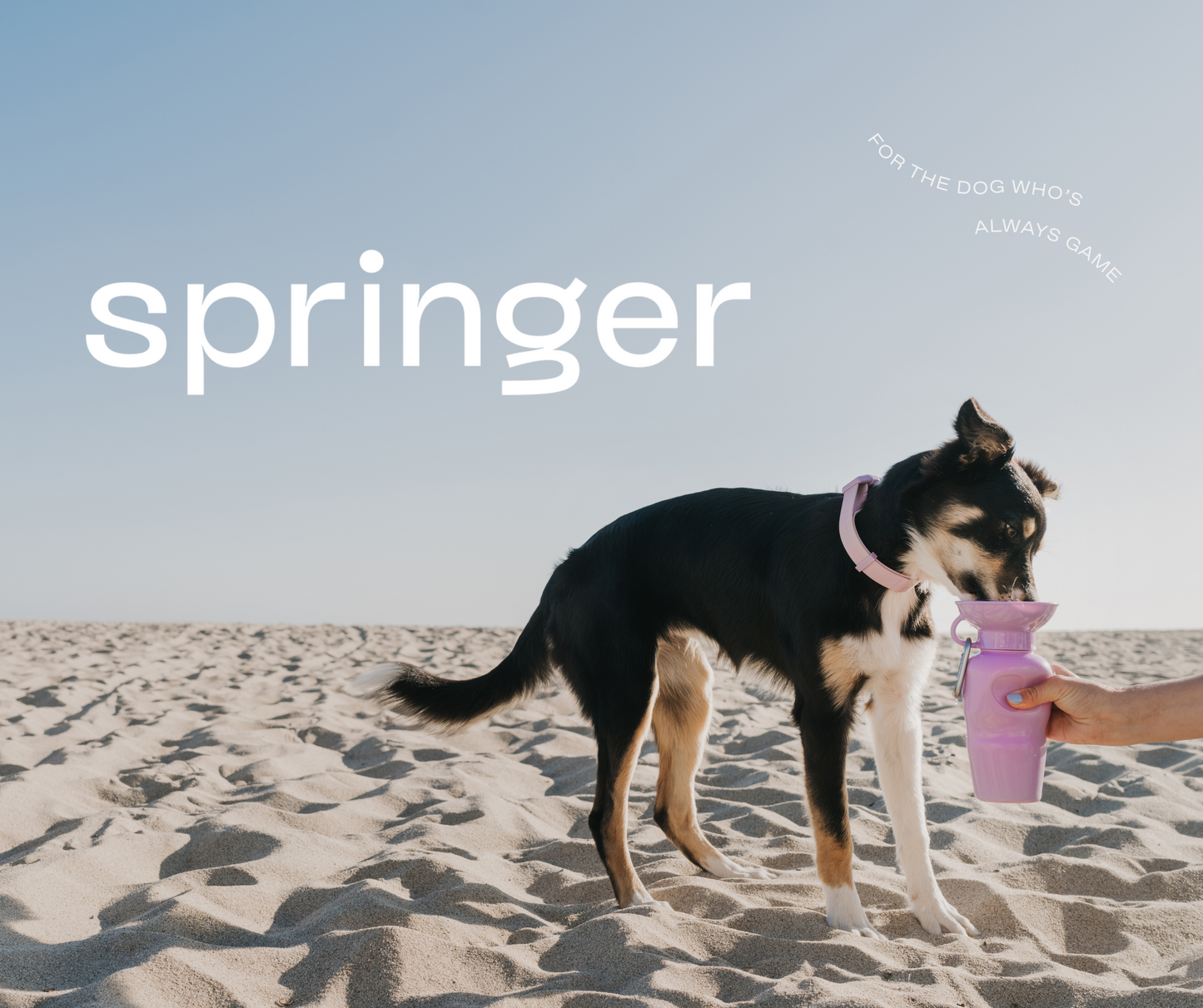 Mini Travel Water bottle - 450 ml / 15 OZ