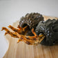 Loblolly Pinecone Puzzle Toy