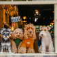 Eskimo Fuzzy Sweater