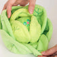 Cabbage Nosework Toy