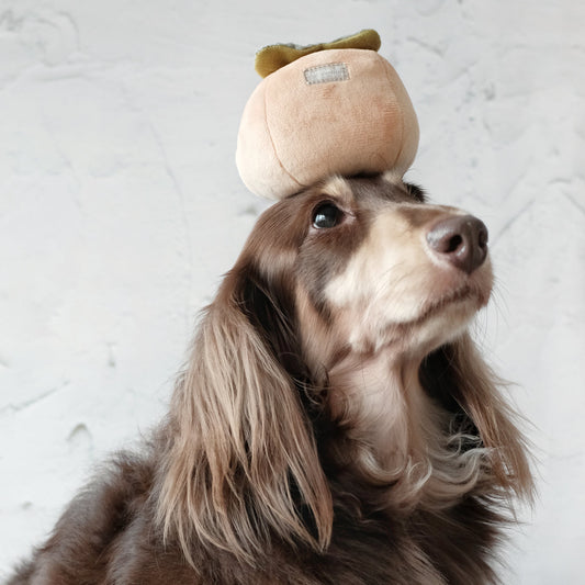 Persimmon (Squeaky + Snuffle)