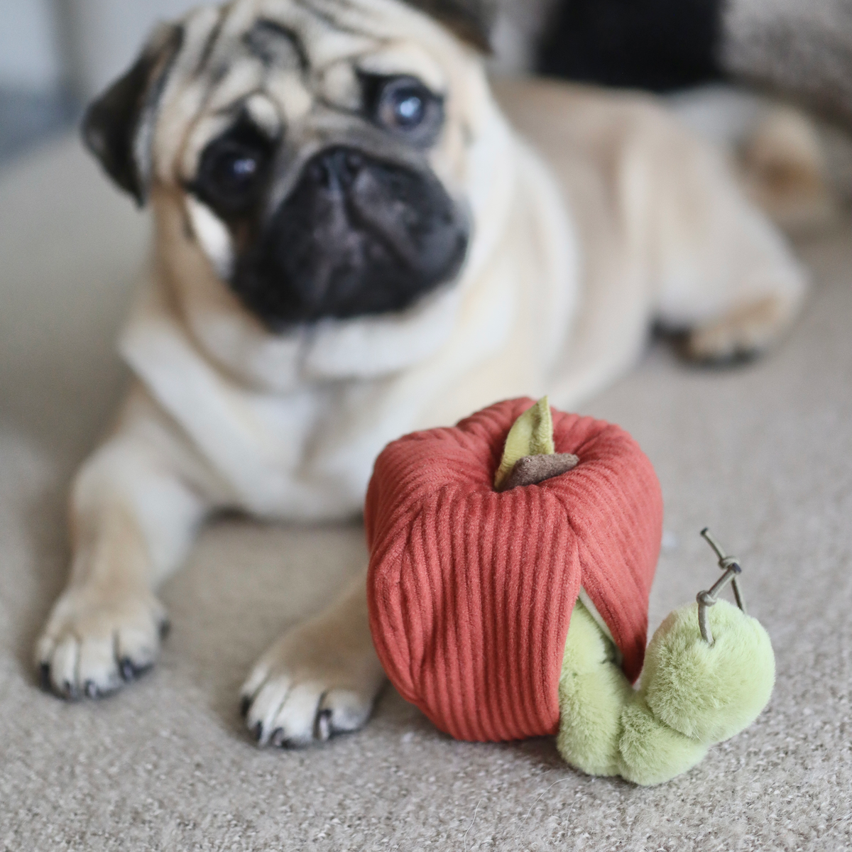 Apple (Crinkly + Burrow+ Snuffle)