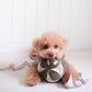Monti *(Crinkly + Squeaky + Snuffle Ball)