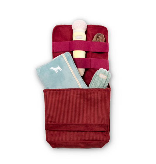 Back to School (Snuffle + Burrow )