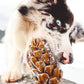 Loblolly Pinecone Puzzle Toy
