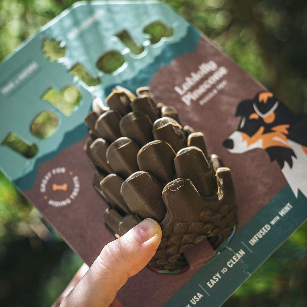 Loblolly Pinecone Puzzle Toy
