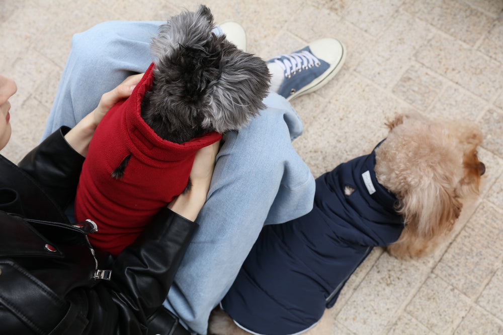 Reversible Dog Vest Jacket (Only Vest)