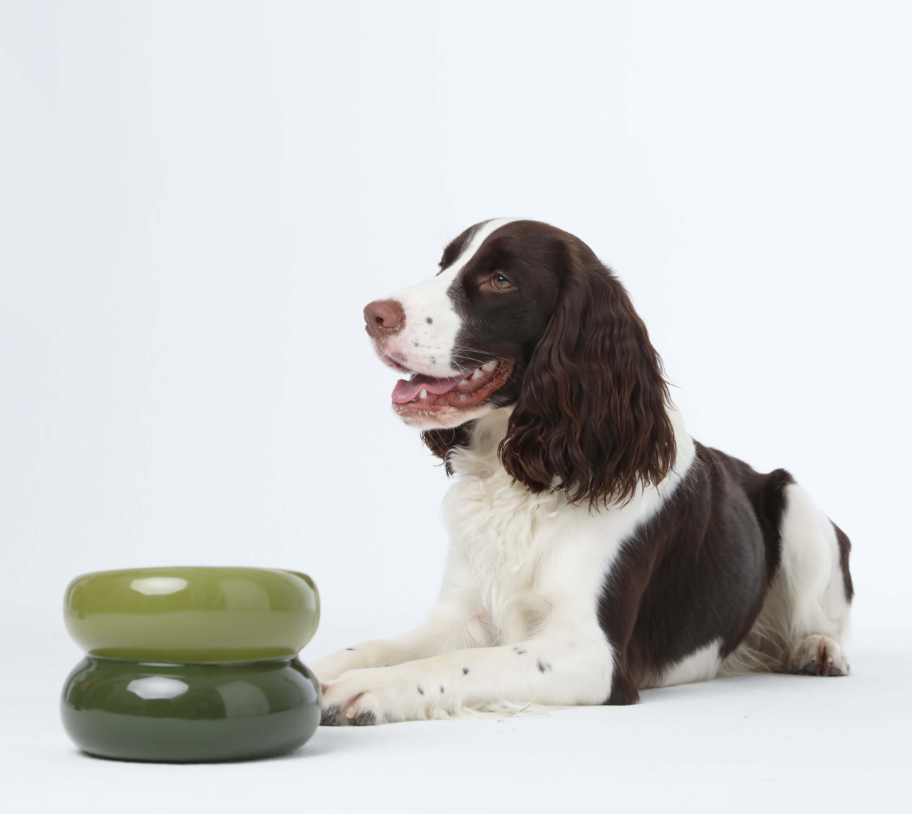 Souffle Pet Bowl - Avocado Green