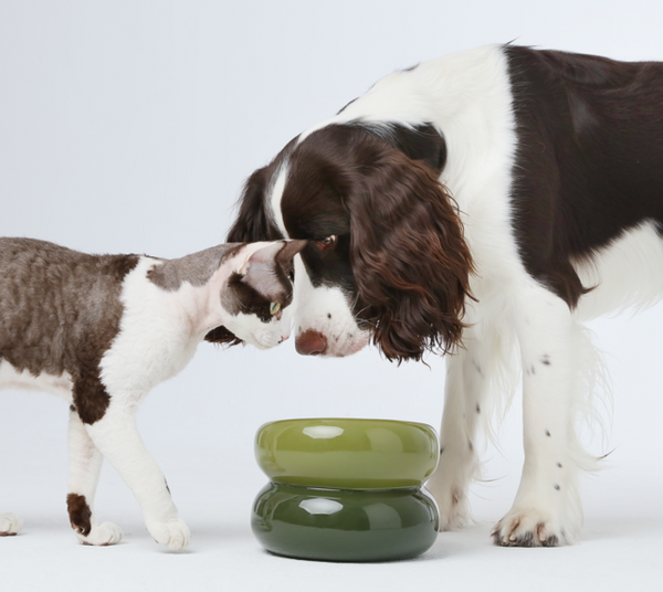Souffle Pet Bowl - Avocado Green