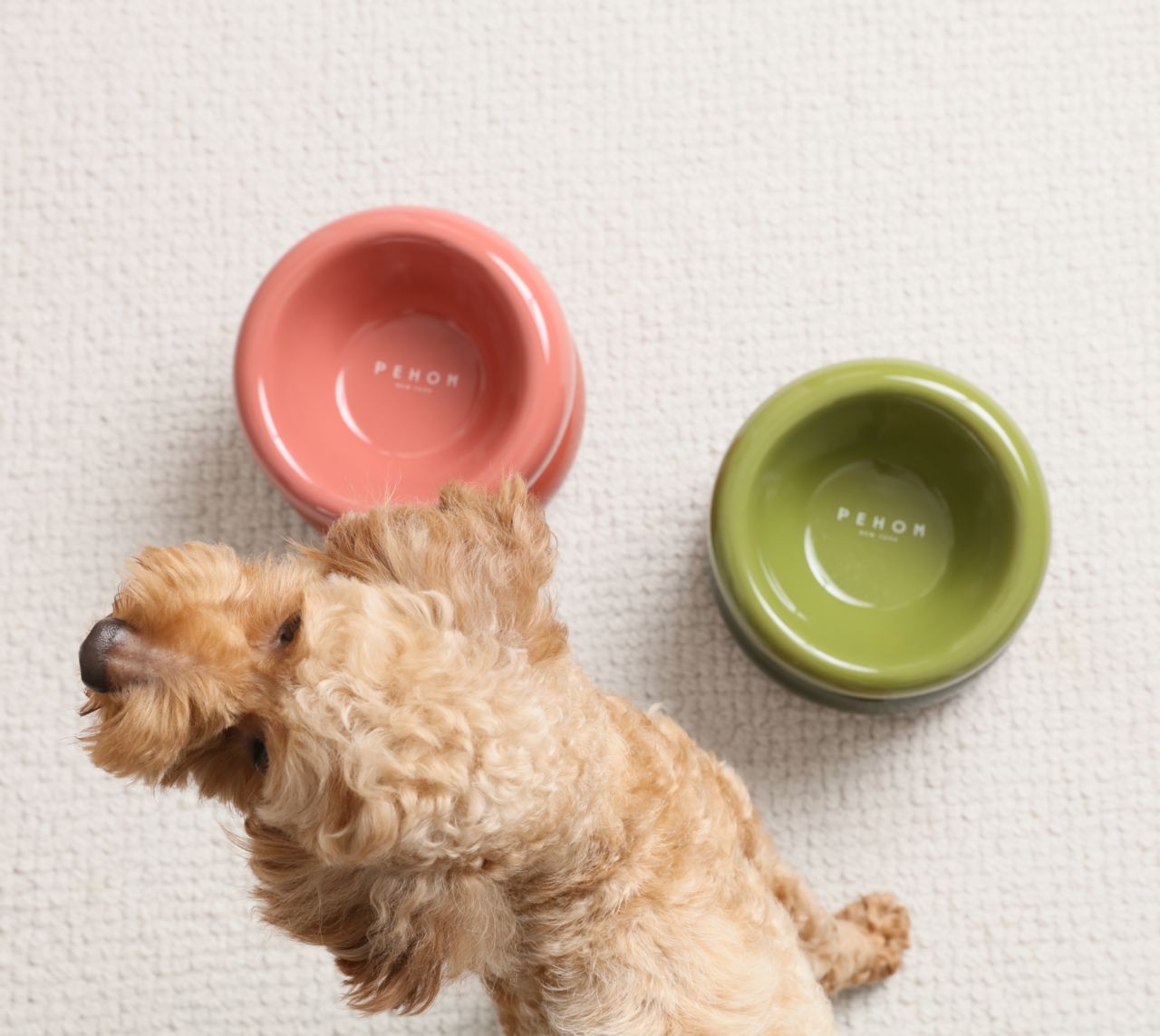 Souffle Pet Bowl - Rosa Pink