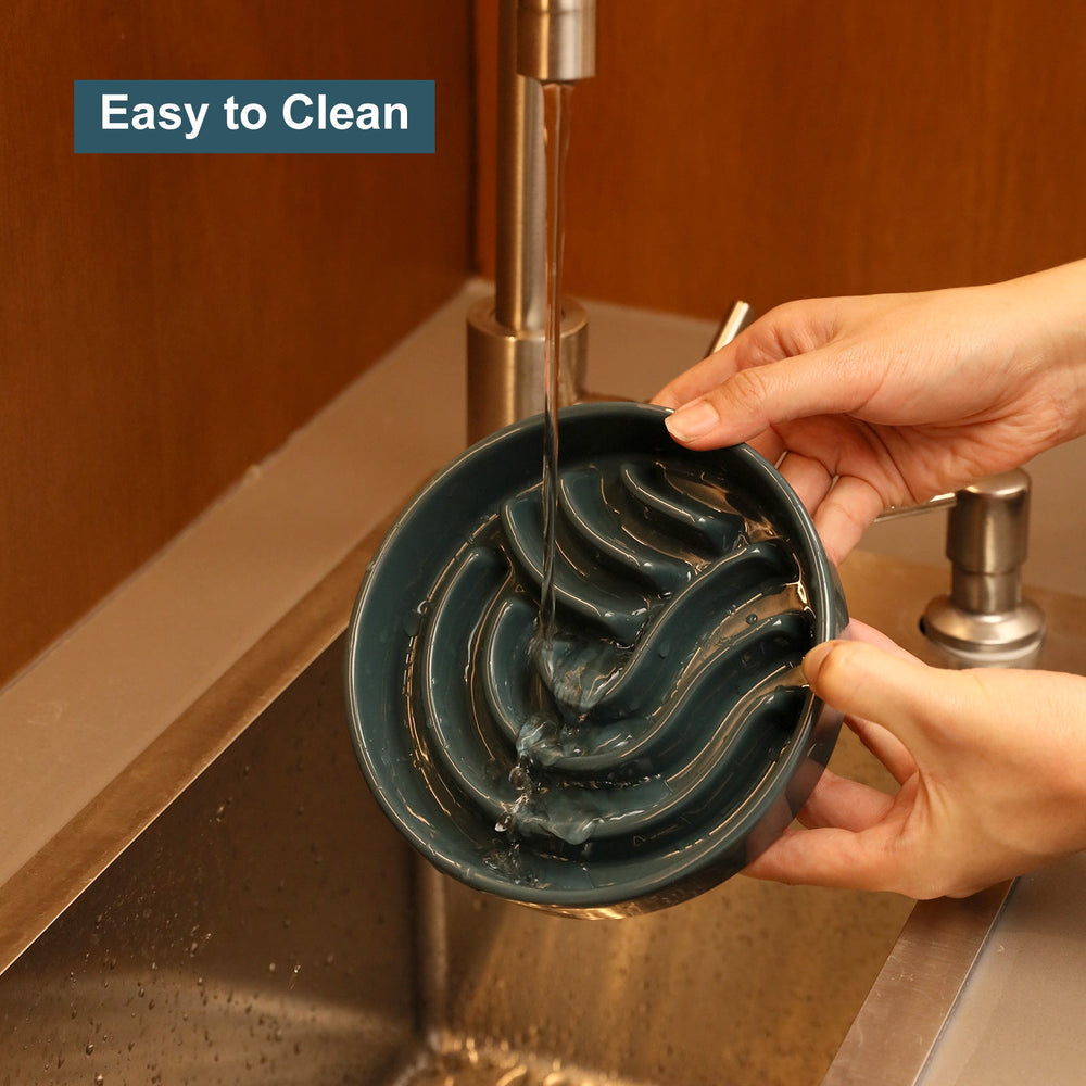 Slow Feeder Bowl - Spark