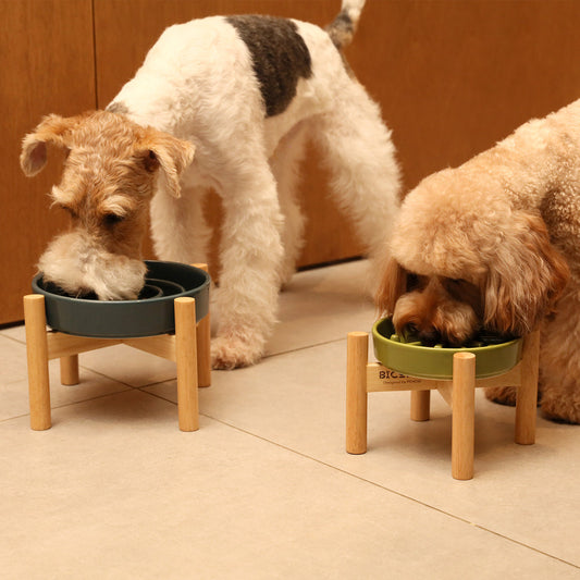 Slow Feeder Bowl - Wave (with wood stand)