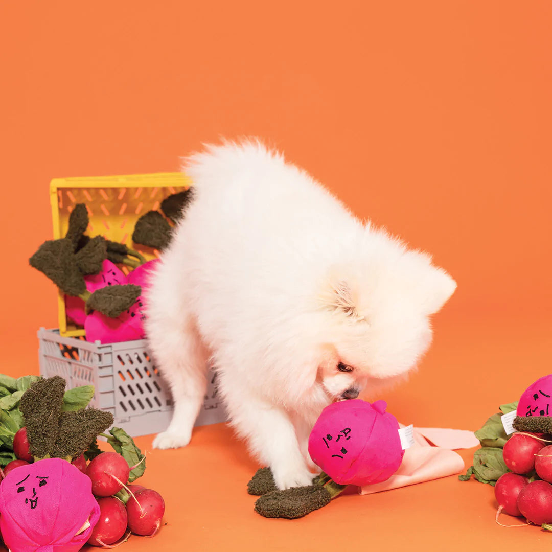 Radish Nosework Sniff Toy