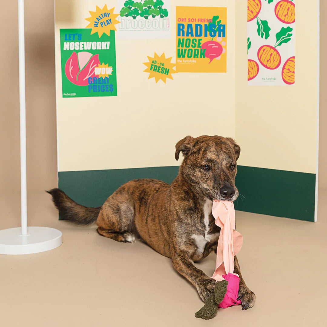 Radish Nosework Sniff Toy