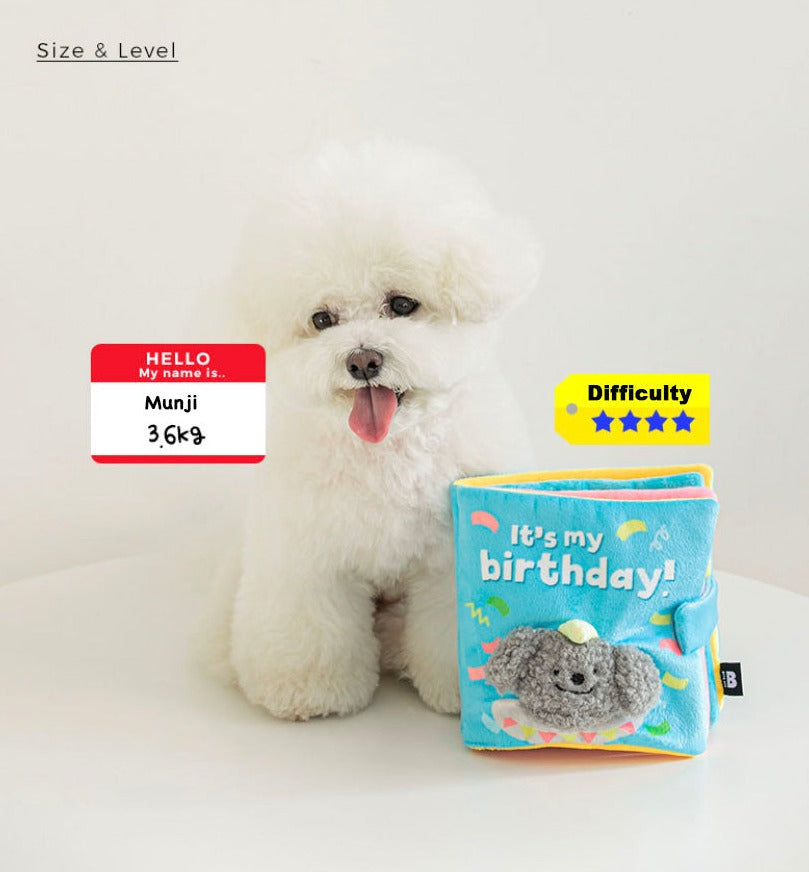 My Birthday Playbook