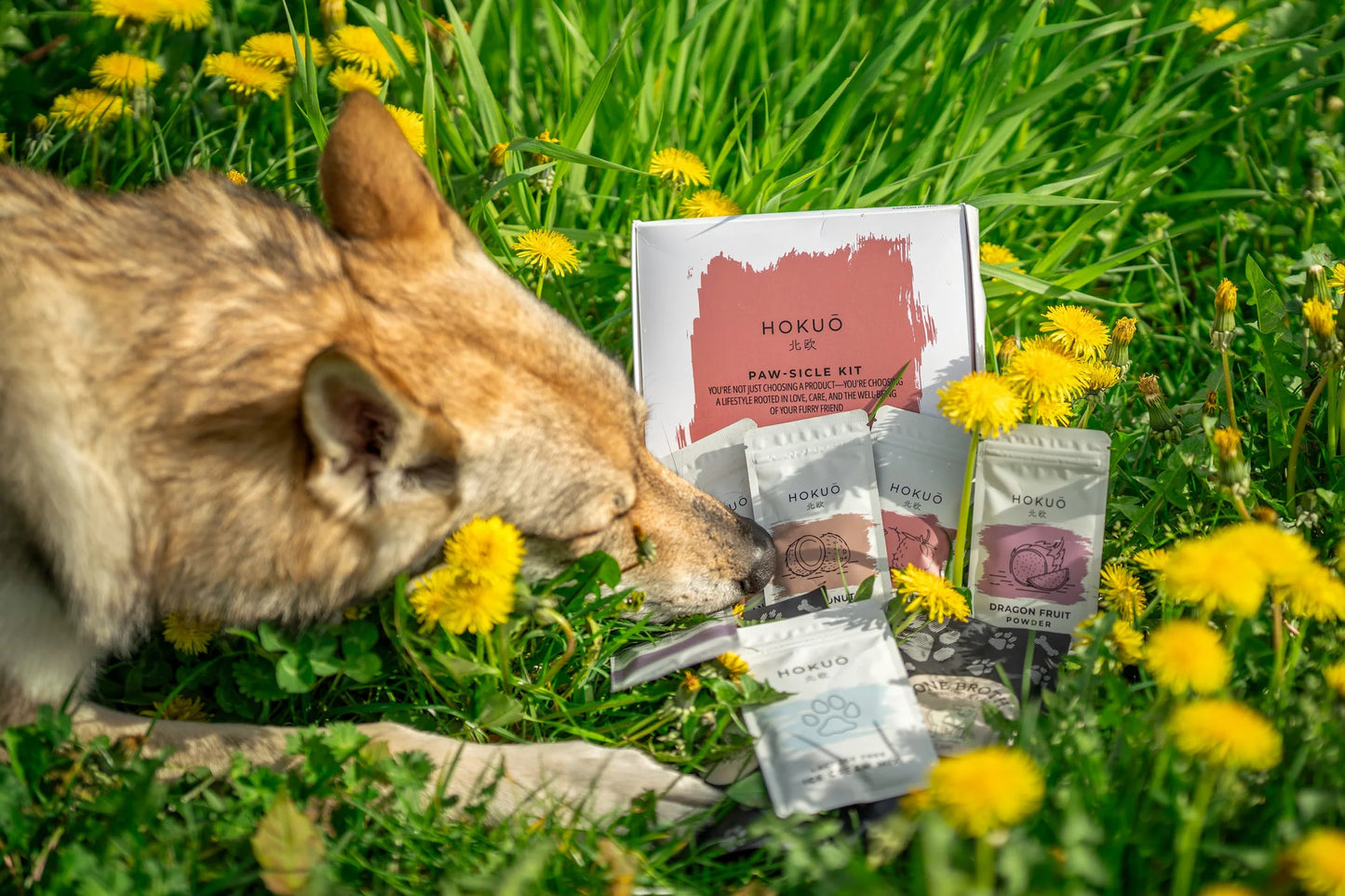 PAW-SICLE Kit - Elk