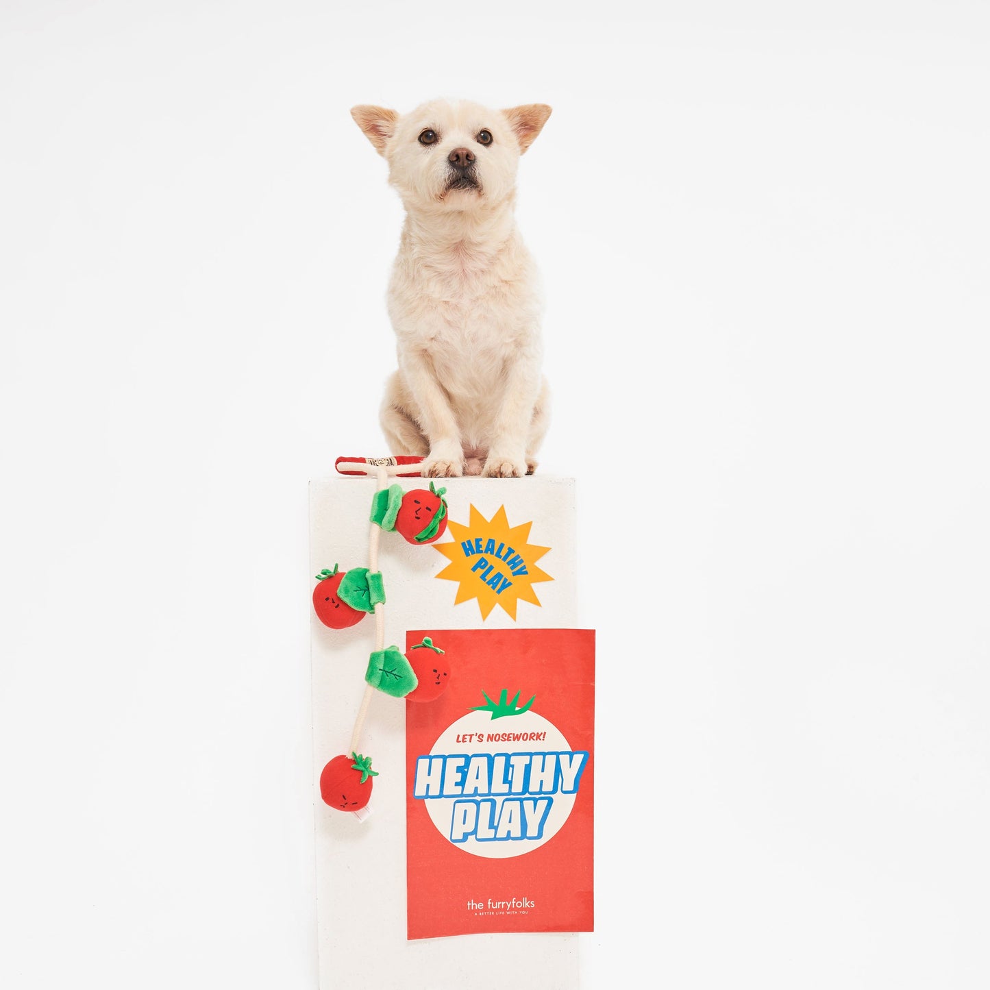 Cherry Tomato Nosework & Tug Toy