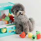 Bear Candy ball Toy (3pcs)