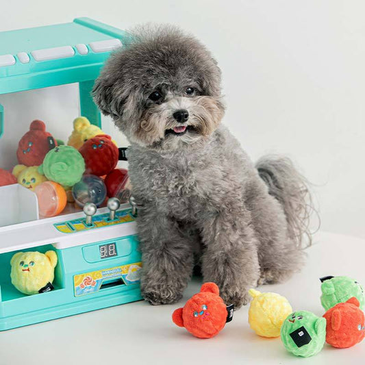 Bear Candy ball Toy (3pcs)