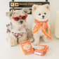 Pet passport & ticket nosework toy set