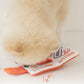 Pet passport & ticket nosework toy set