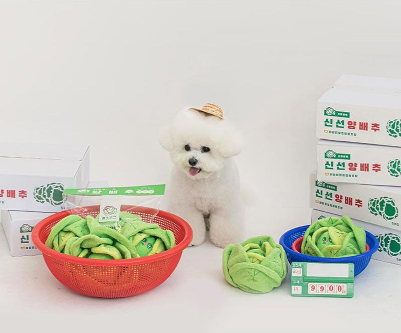 Cabbage Nosework Toy