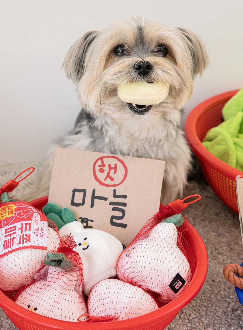 Agricultural Toy (Nosework) - Garlic