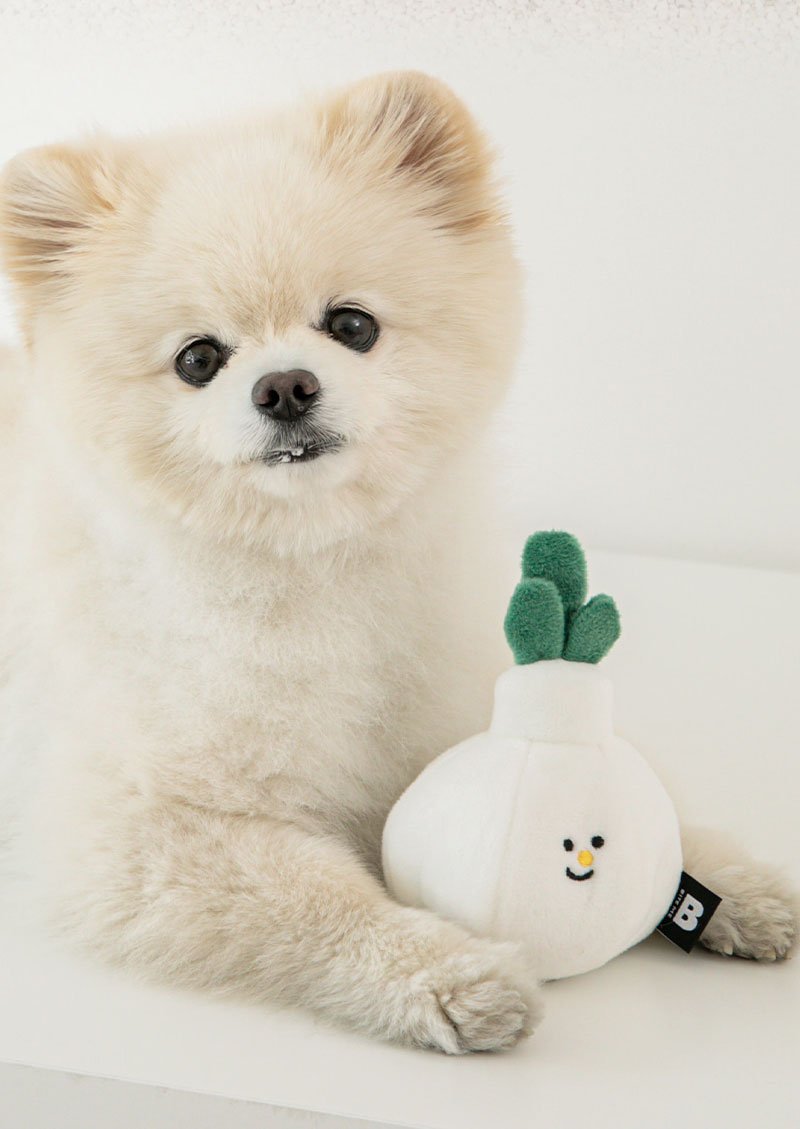 Agricultural Toy (Nosework) - Garlic