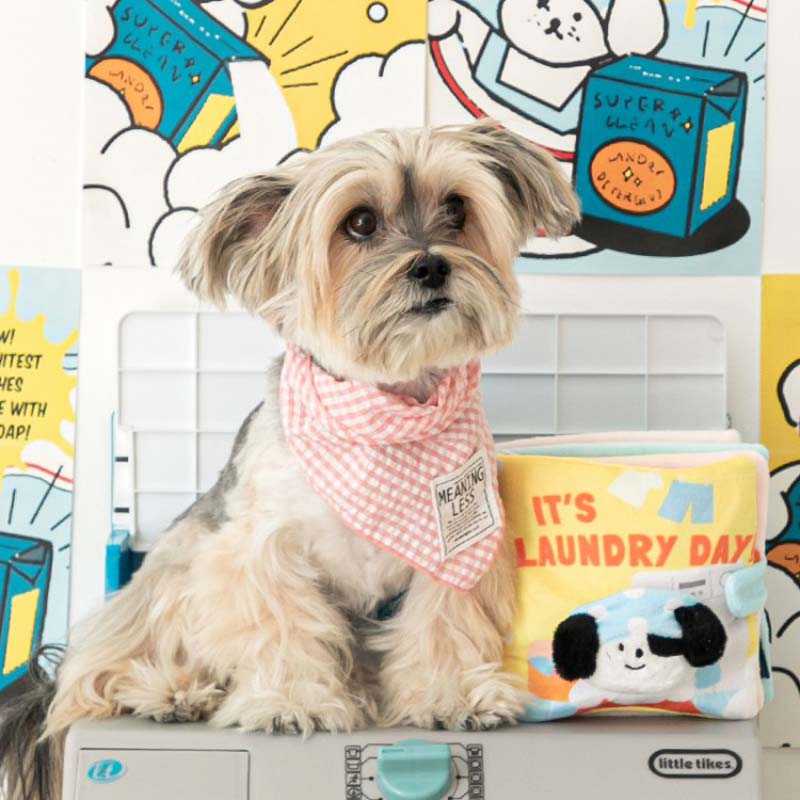 lt's Laundry Day Playbook