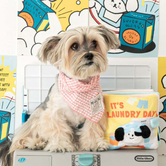 lt's Laundry Day Playbook