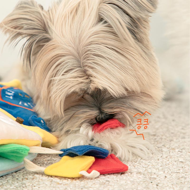 lt's Laundry Day Playbook
