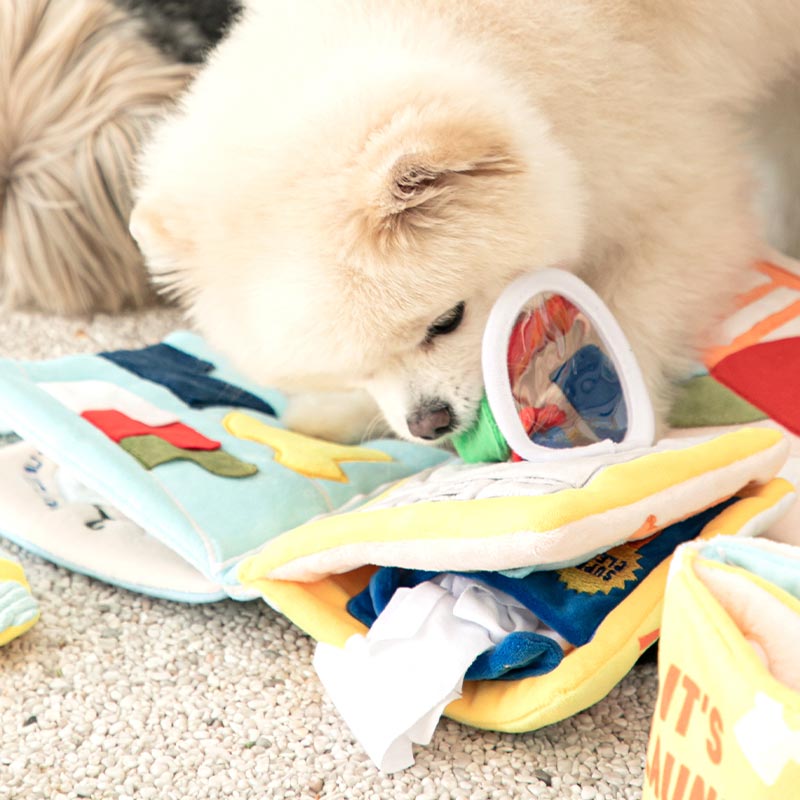 lt's Laundry Day Playbook