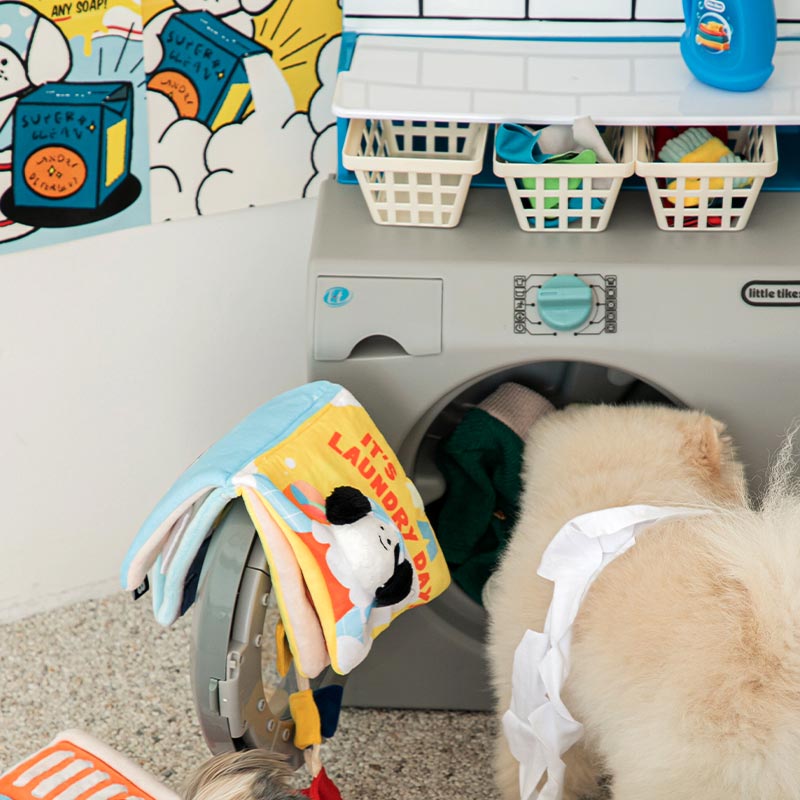 lt's Laundry Day Playbook