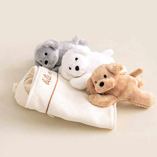 My Siblings Nosework Toy