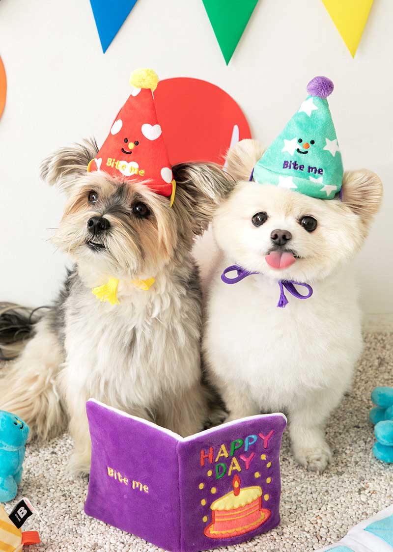 Party Series happy party hat toy (3 pcs)