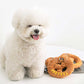 Pretzel Tug & Nosework Toy