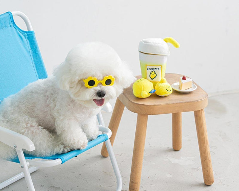Secondmorning Lemonade Nosework Toy