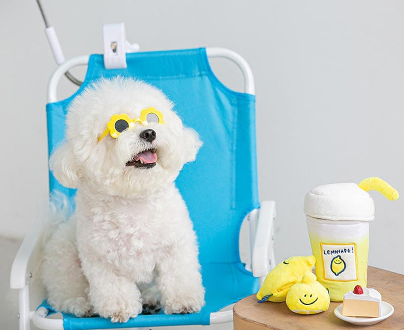 Secondmorning Lemonade Nosework Toy