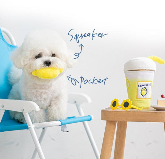Secondmorning Lemonade Nosework Toy
