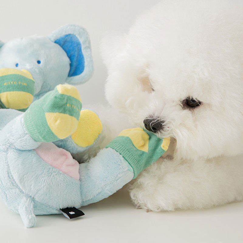 Socks Elephant Nosework toy