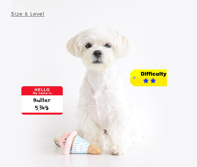 Strawberry Ice Cream Nosework Toy